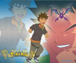yapboz Brock, pewter Şehir Havuz (Pewter) ve İlk lideri, rock uzmanlaşmış tipi Pokémon.